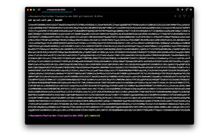 Screenshot of terminal base64 string